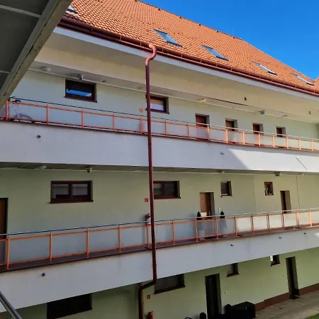 Business - Free Parking 马汀