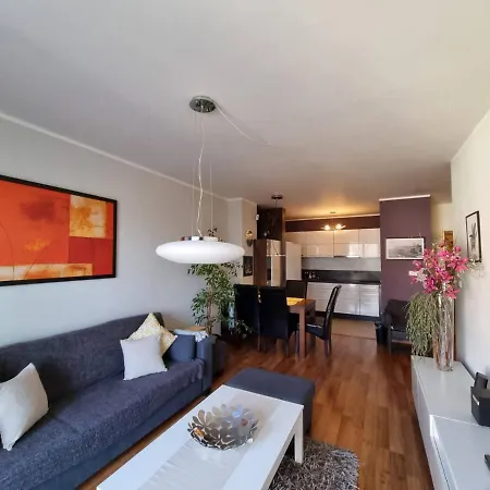 Business - Free Parking 马汀