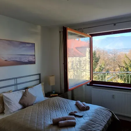 Business - Free Parking 马汀