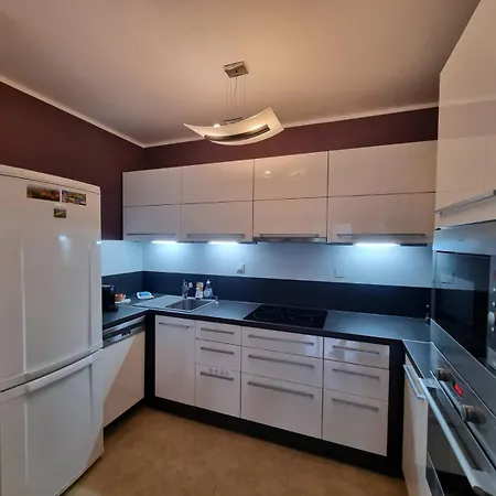 Business - Free Parking 马汀