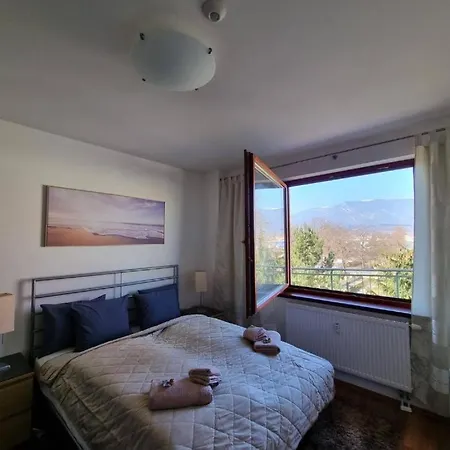 Business - Free Parking 马汀