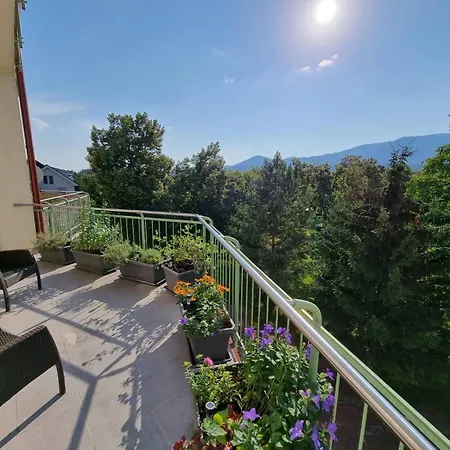 Business - Free Parking *