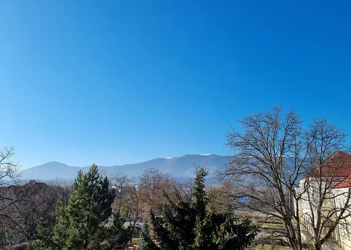 Business - Free Parking Apartamento