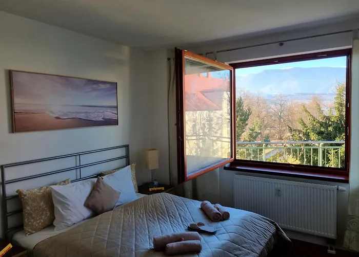 Business - Free Parking Martin