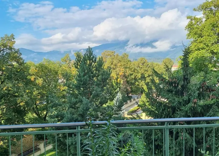 Business - Free Parking Martin