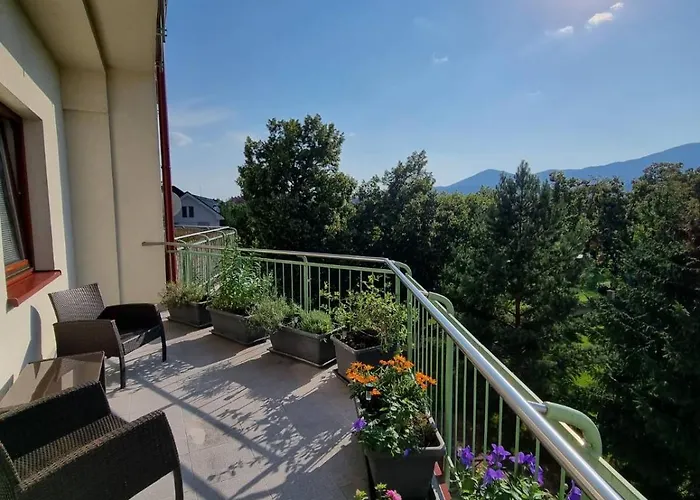 Business - Free Parking *